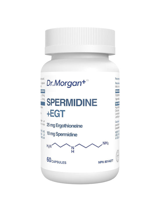 Spermidine & EGT